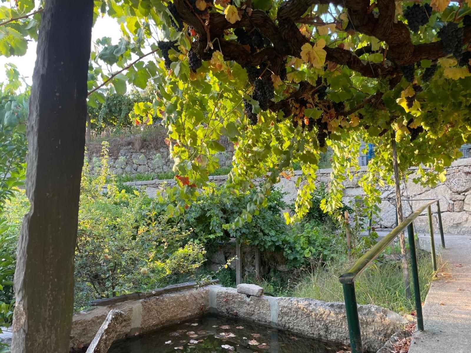 Quintinha De Pinouco Villa Resende Bagian luar foto